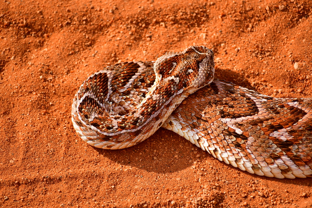 Tsavo East National Park